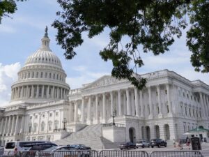 Could the Republicans lose the House? Five US congressional races to watch | US Election 2024 News