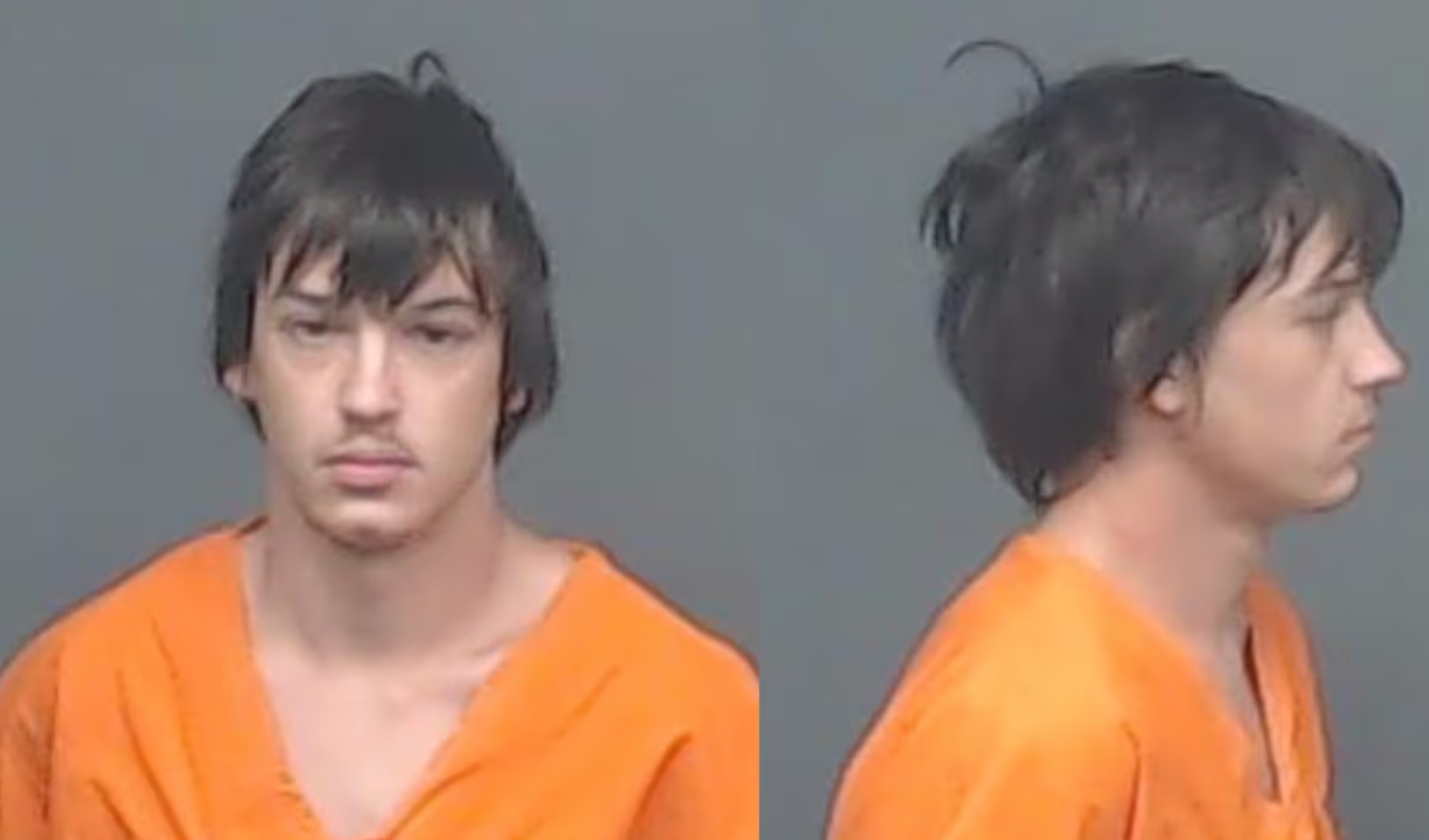 Texas man arrested for allegedly stealing neighbors' dogs, killing them