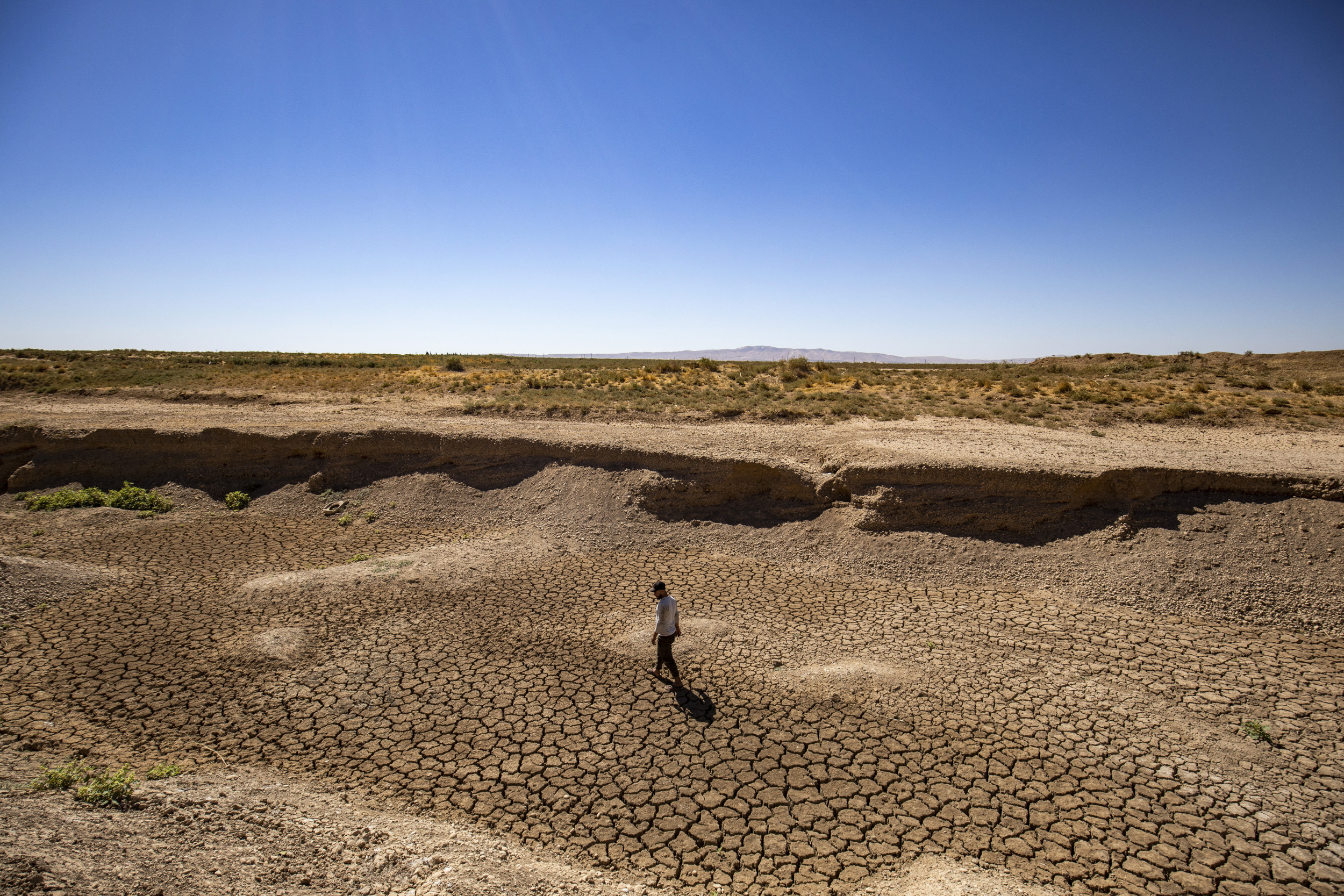 Ecological Disaster