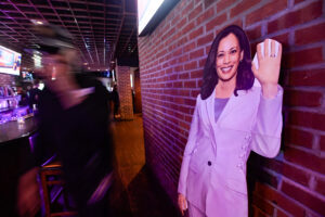 Kamala Harris Sidelined