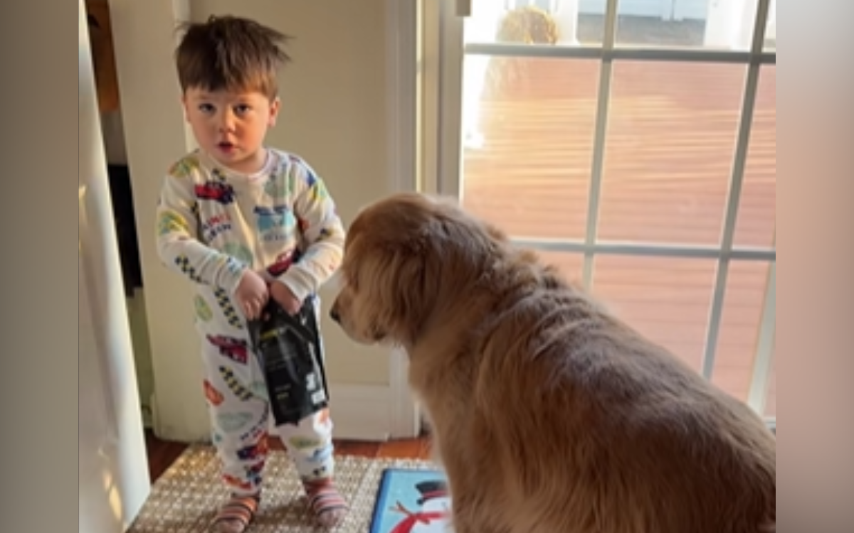 Hudson waits to receive a dog treat.