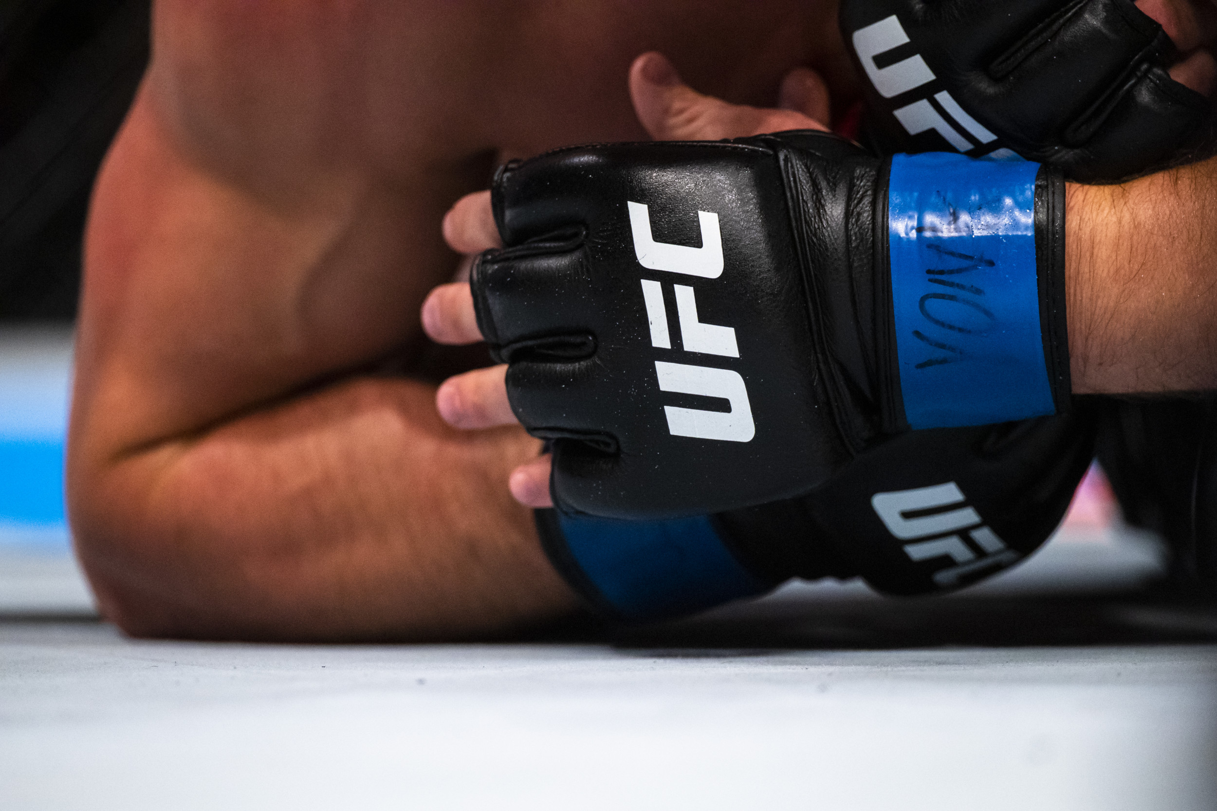 UFC gloves