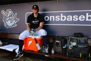 New York Yankees, infielder, DJ LeMahieu