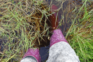 splashing in puddle