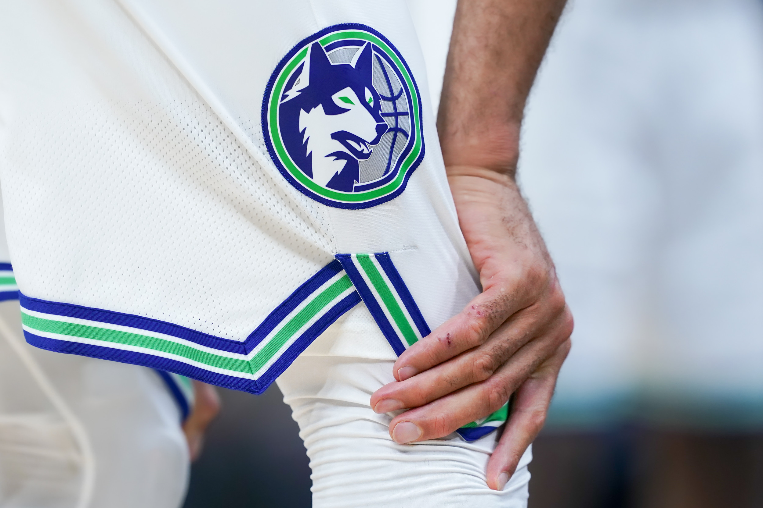 Minnesota Timberwolves logo