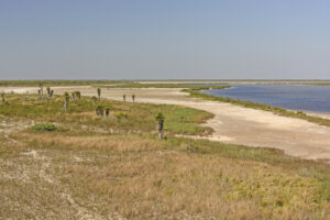 Luguna Atascosa stock photo
