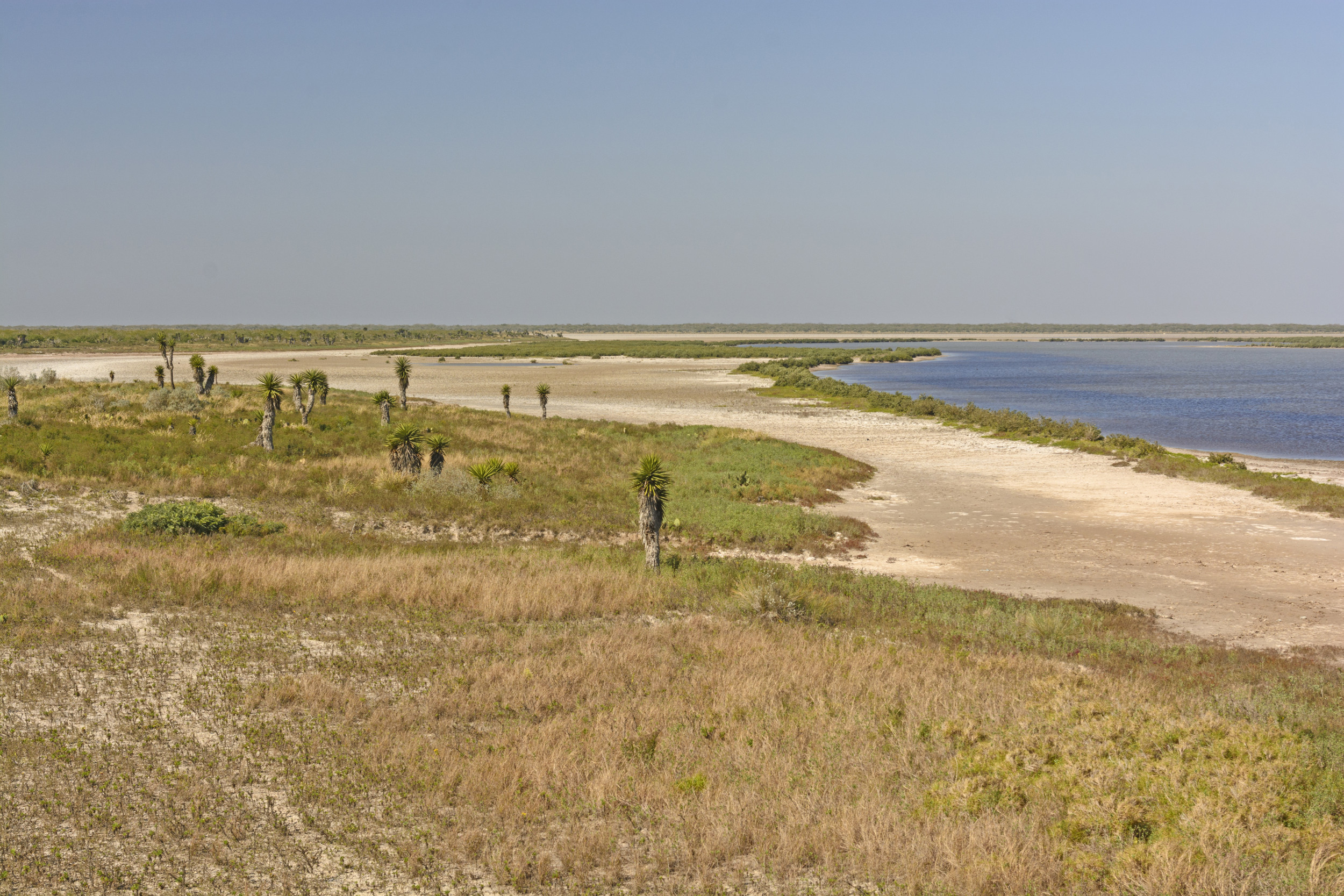 Luguna Atascosa stock photo