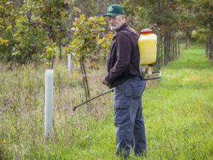 Pesticides