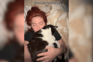 Woman rescues independent cat