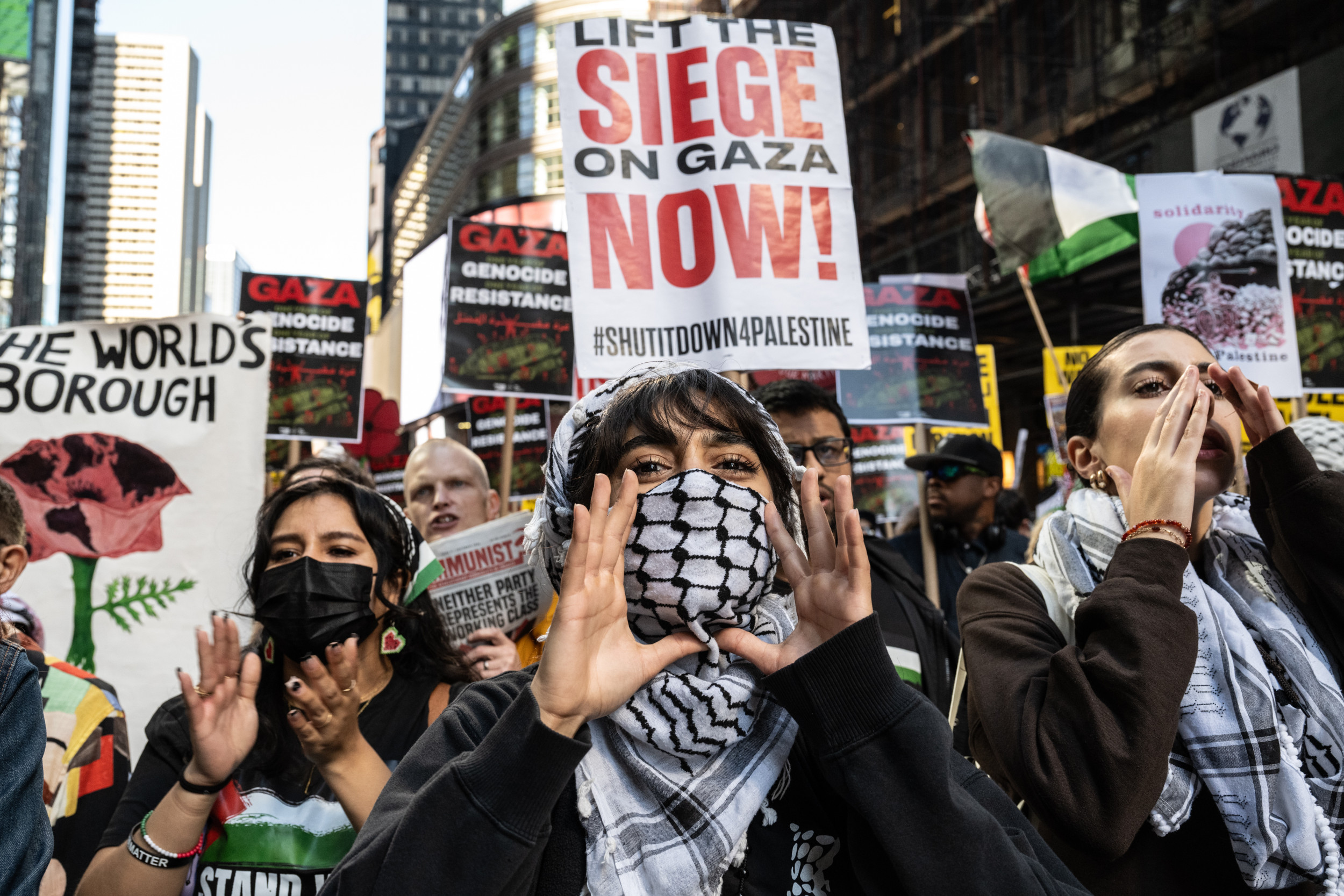 Pro-Palestinian protest Israel sympathy poll