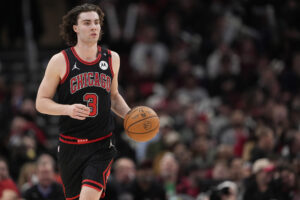 heat bulls
