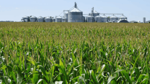 Chinese agroterrorism could severely disrupt US food supply, expert warns