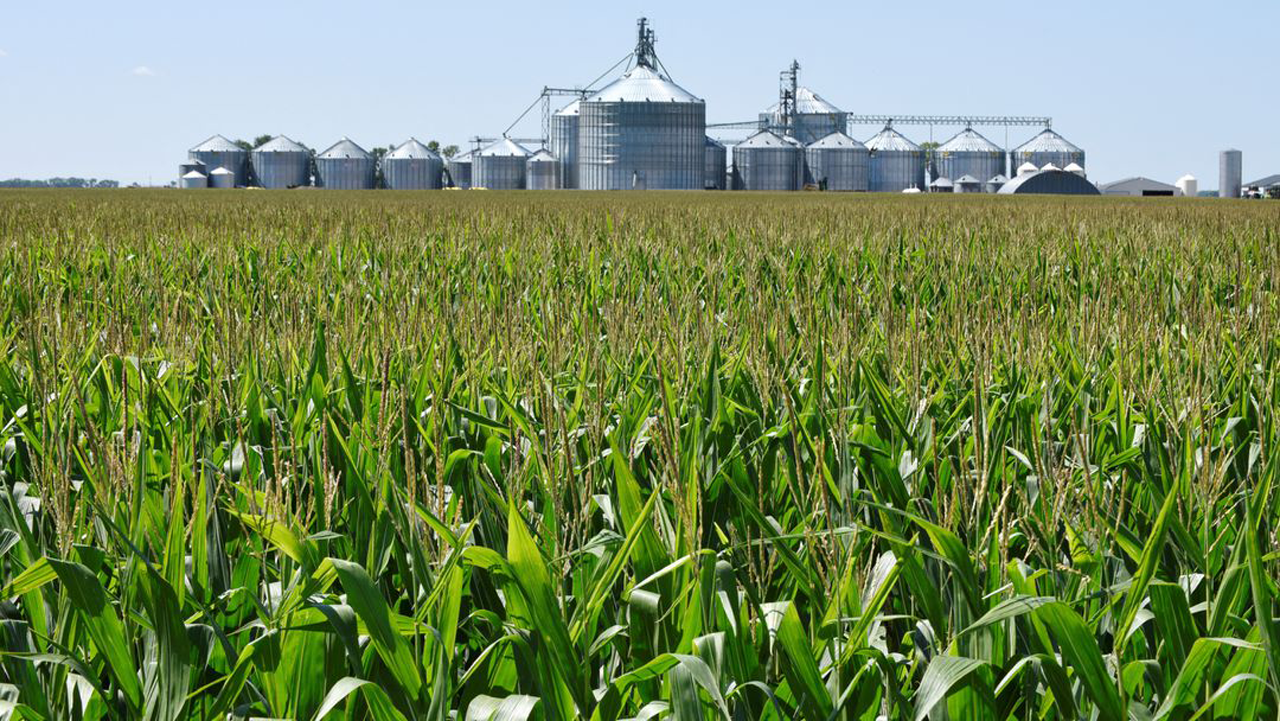 Chinese agroterrorism could severely disrupt US food supply, expert warns