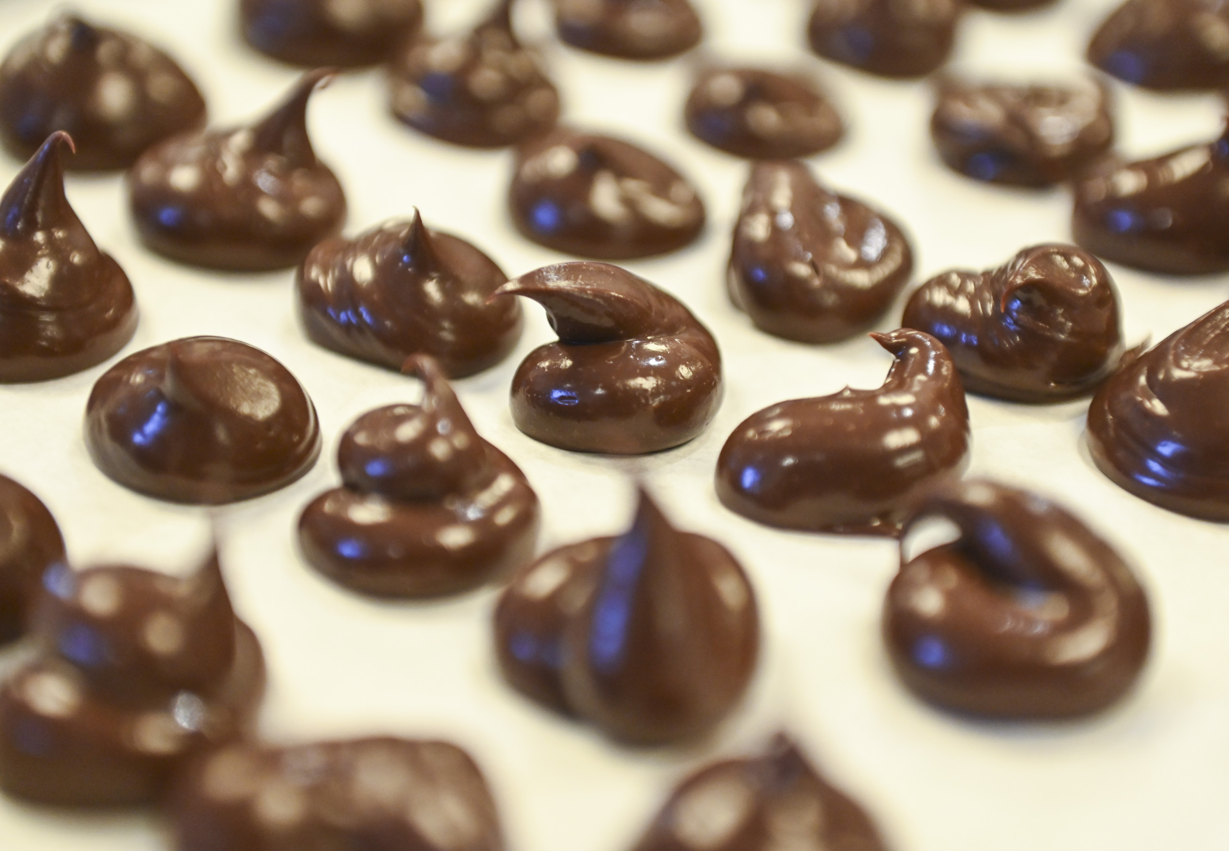 Chocolate truffles