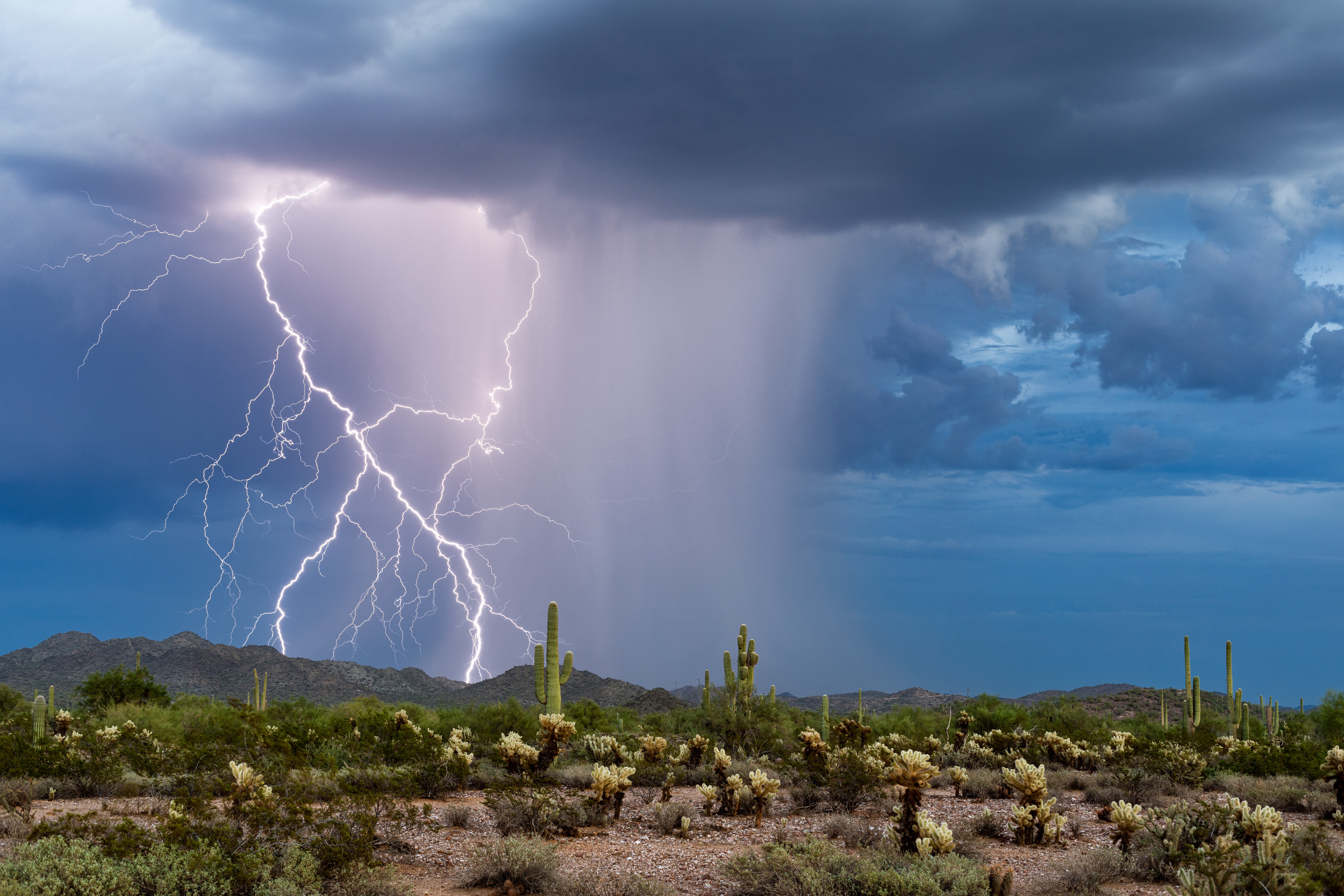 Flood watch desert