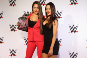 WWE Nikki Bella Brie Bella