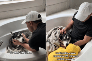 Moriarty comforting Titan