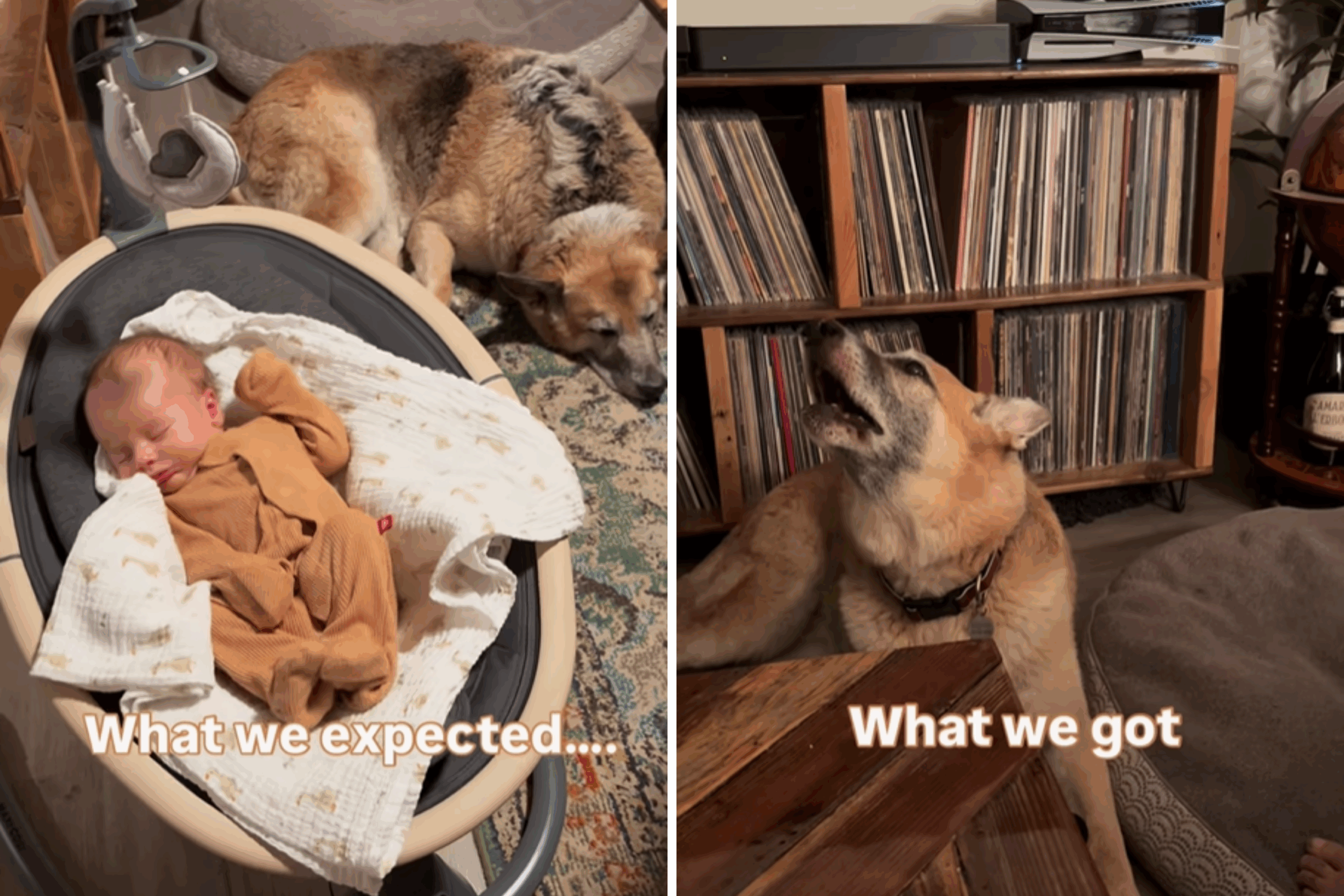 What we expected