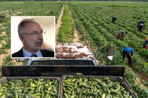 Andy Harris farm work visas