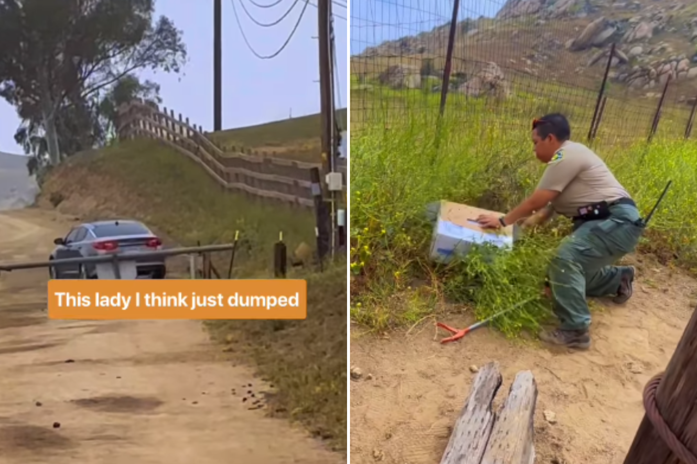 Rescuing cat