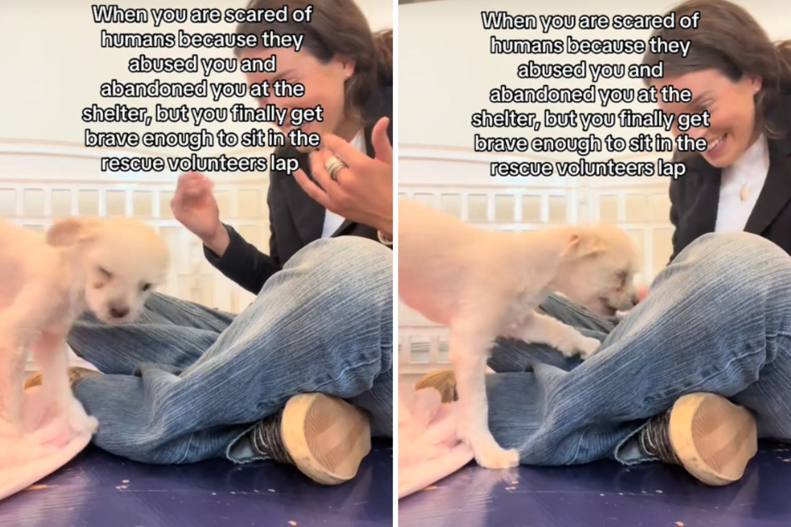 Dog trusts shelter volunteer