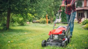 Amazon Prime Day: get up to 50% off lawn equipment