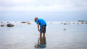 Child dies from brain-eating amoeba after swimming in South Carolina lake