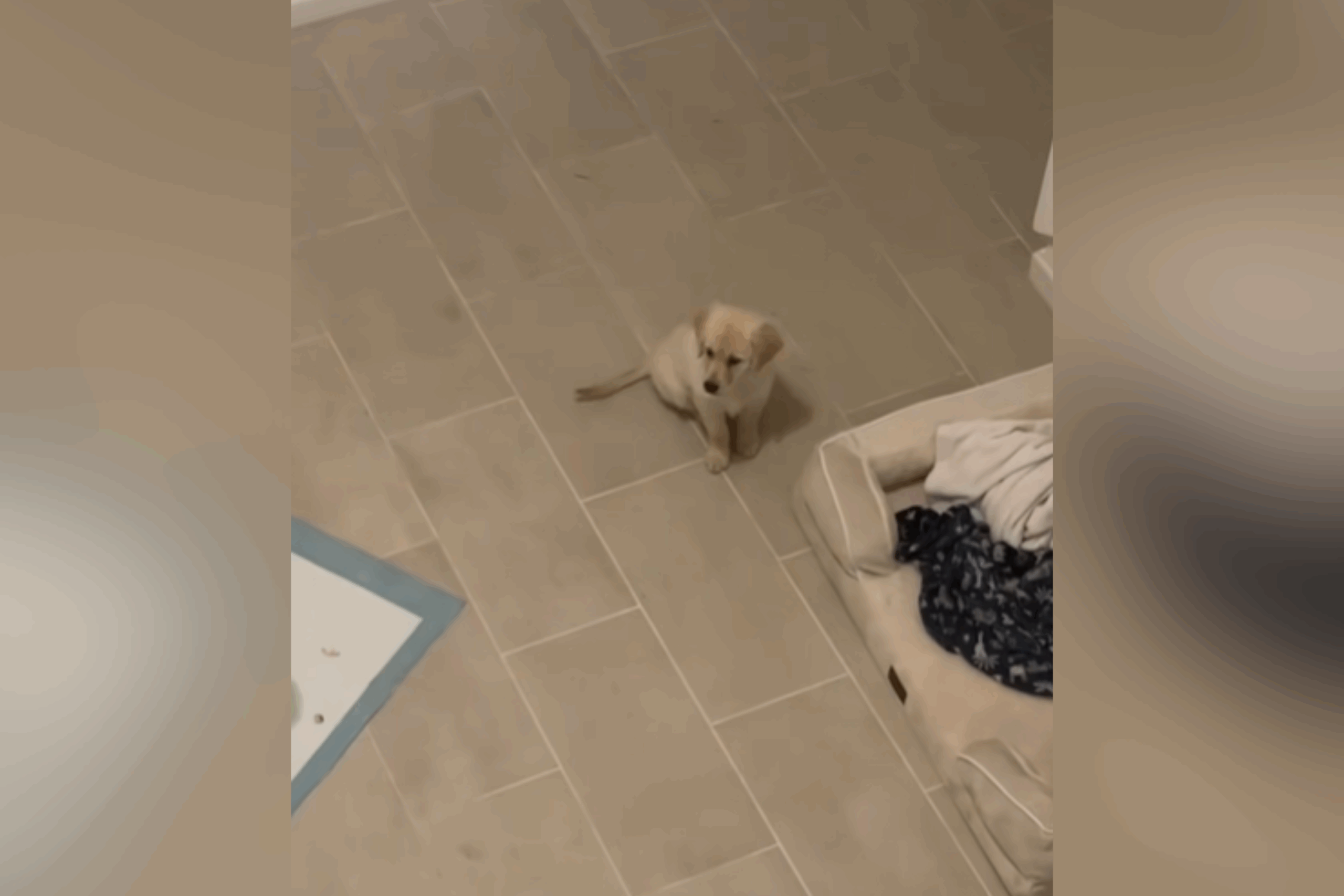 Stormi