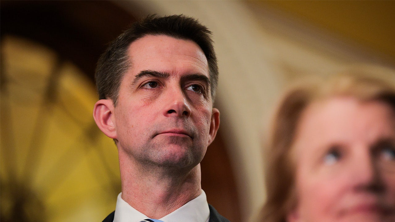 Cotton bill would fast-track US mining to counter China's mineral dominance