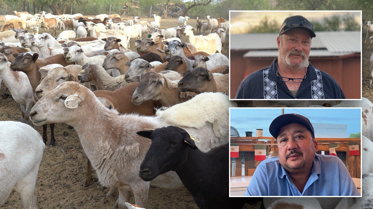 Hispanic workers fear tougher immigration rules, Arizona farmer says