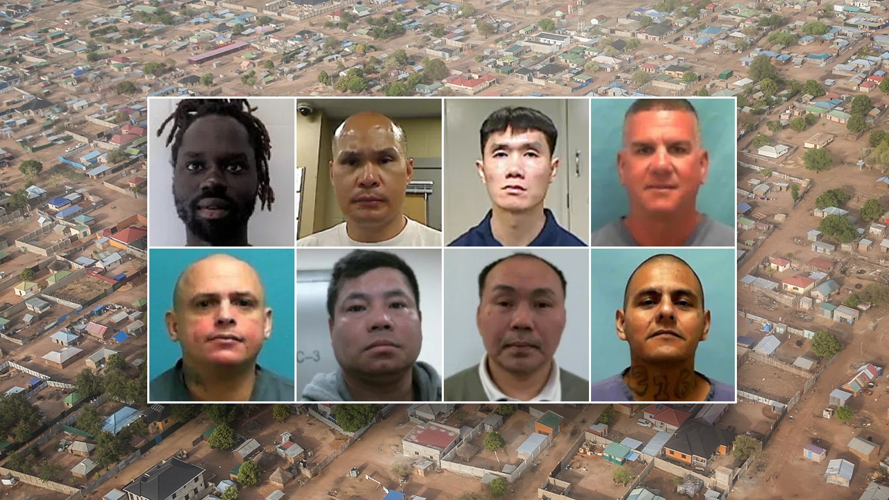 ICE deports violent criminal aliens to South Sudan after 'weeks of delays'
