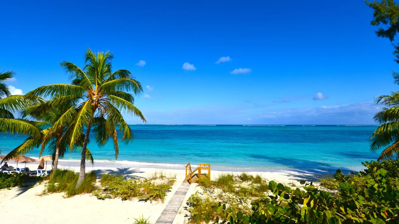 Mass shooting at Turks and Caicos nightclub leaves 3 dead, 10 wounded