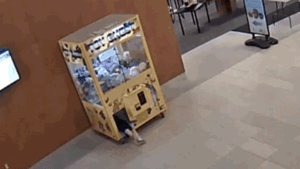 Ohio boy rescued after crawling inside stuffed animal claw machine