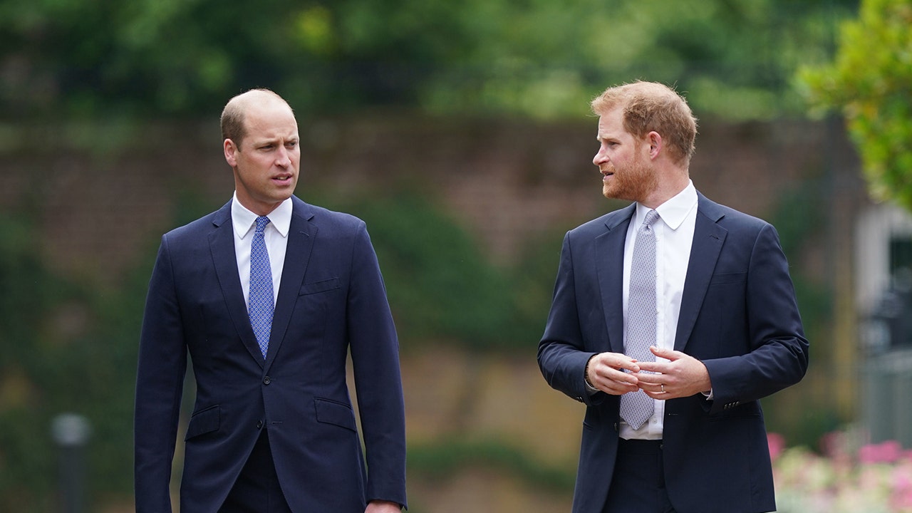 Royal expert explains why Princess Diana's sons won't inherit her childhood home