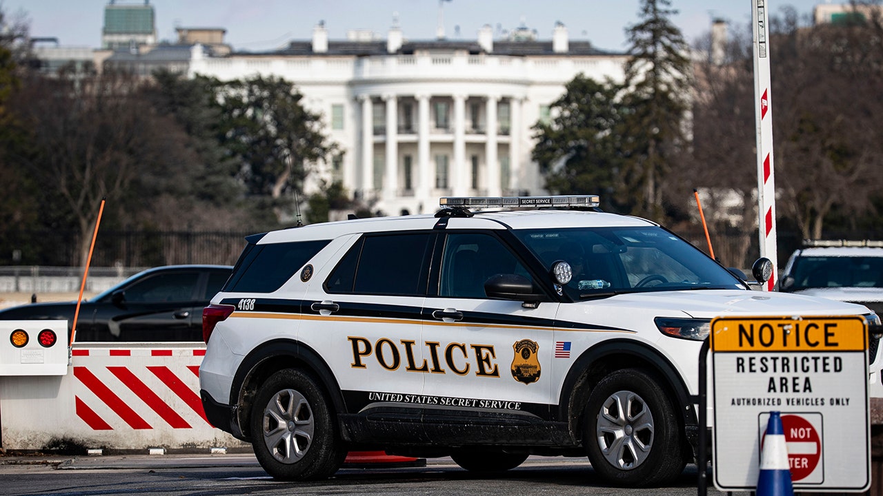 Suspect in custody after suspicious package found near White House