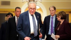 Thune says Schumer faces a 'no-win situation' as far-left Dems push for shutdown