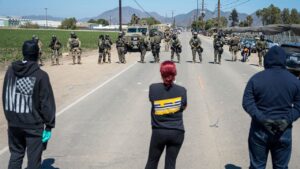 Trump authorizes ICE action after California cannabis farm protests