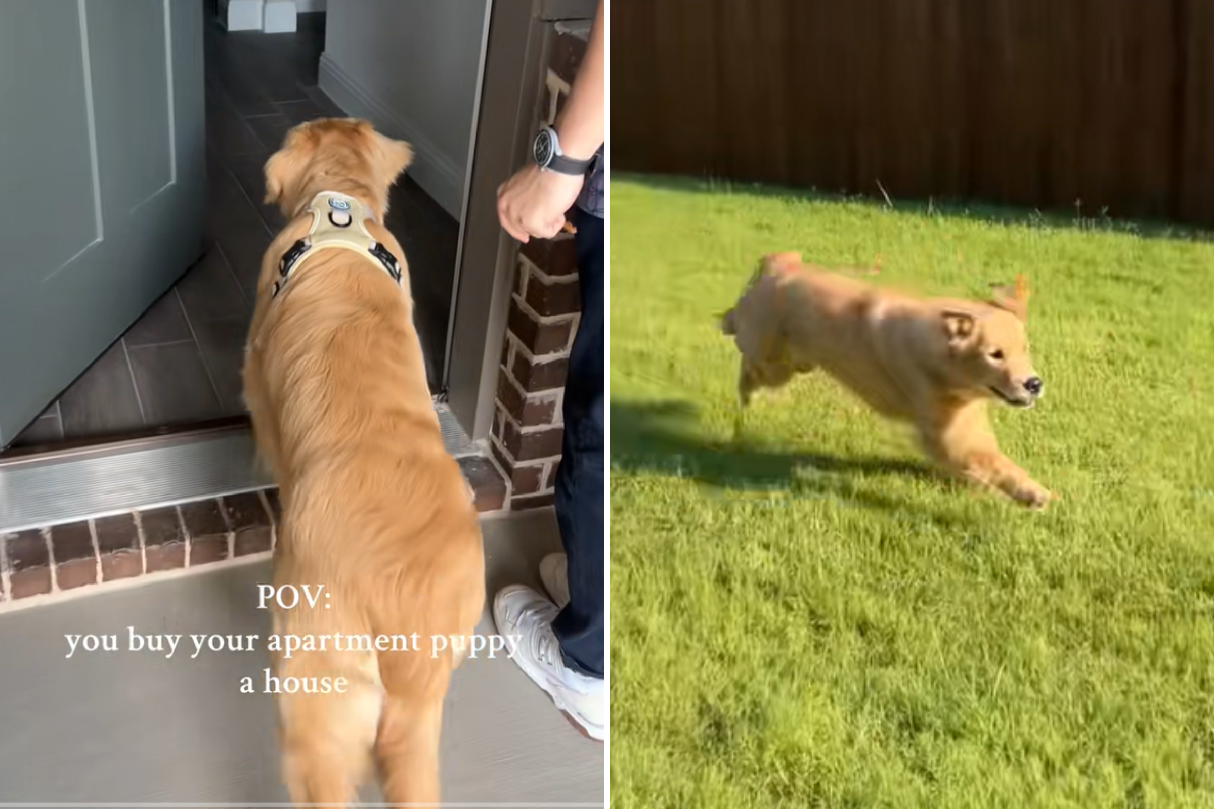 Dug in new home