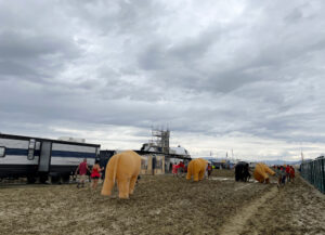 Burning man