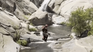 Climber trapped behind California waterfall for days rescued alive
