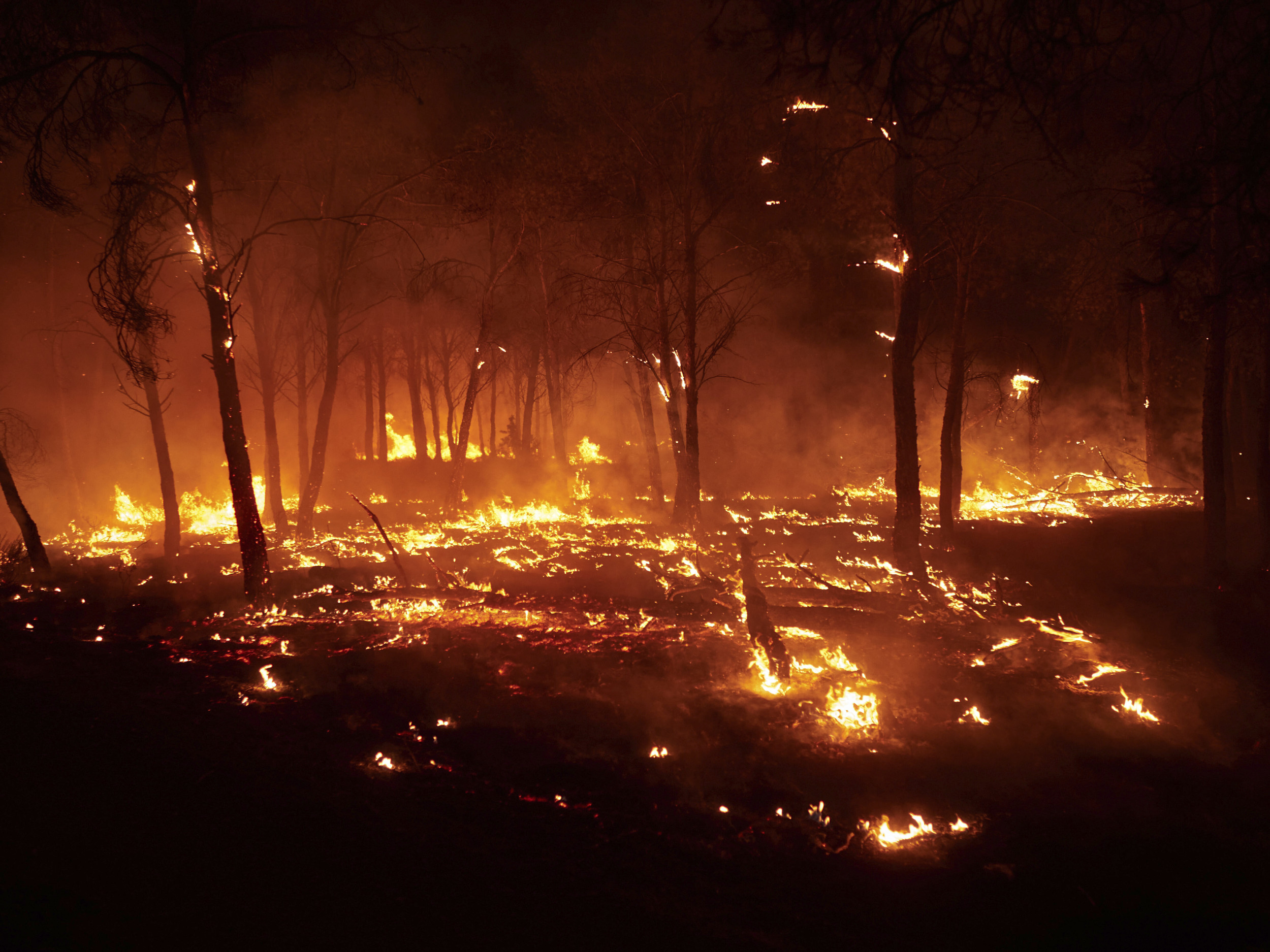 Europe Fires