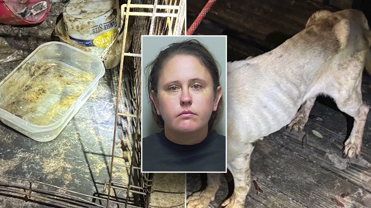 Florida woman leaves teen, 7 dogs for two-week-long Las Vegas vacation: police
