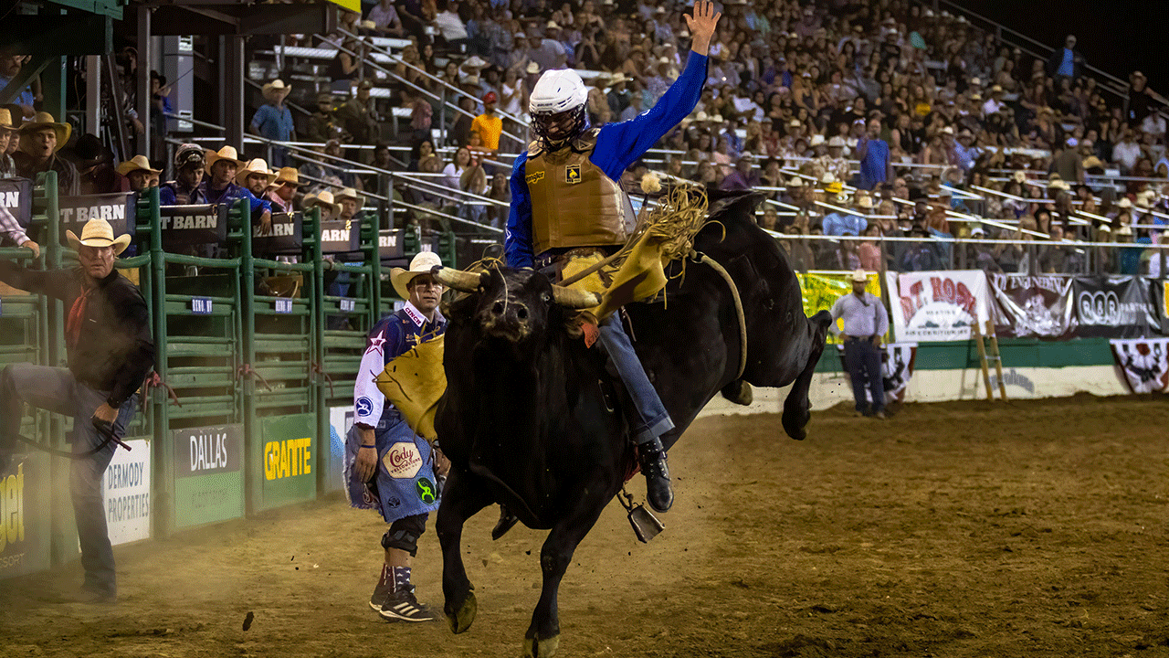 Fox Nation enters live sports streaming with 'PBR Friday Night Live'