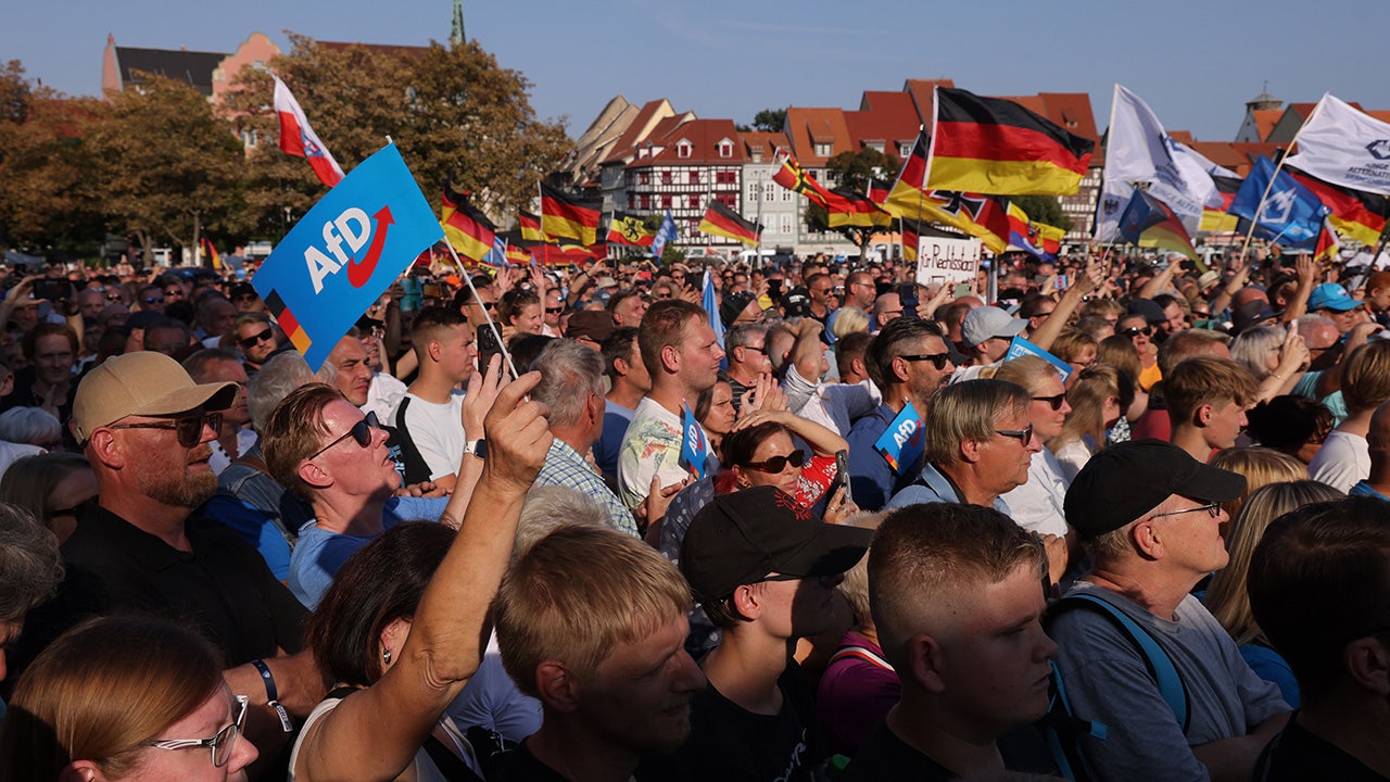 Germany's AfD leads poll for first time, beats CDU with 26% support