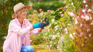Getting ready to harvest your garden? Get these helpful tools