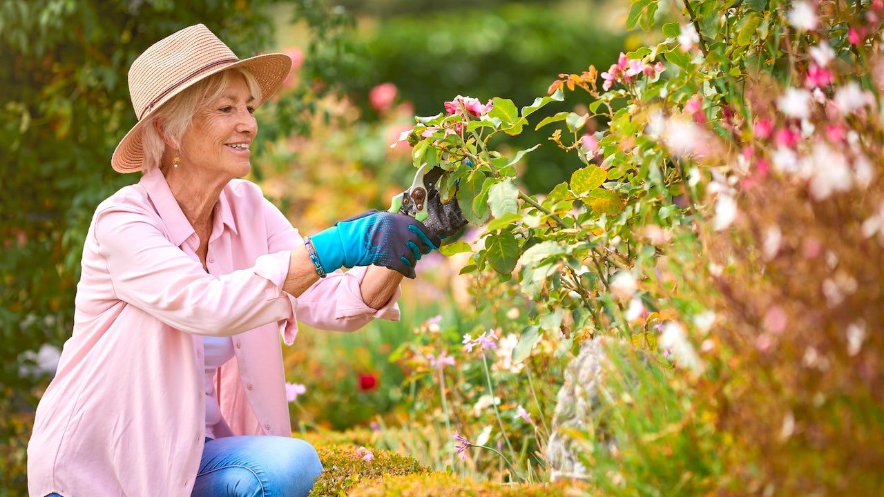Getting ready to harvest your garden? Get these helpful tools