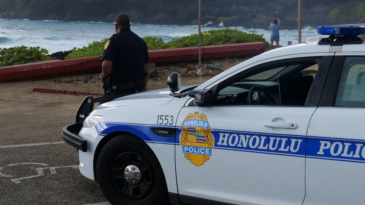 Hawaii police launch manhunt for suspect in Honolulu sulfuric acid attack