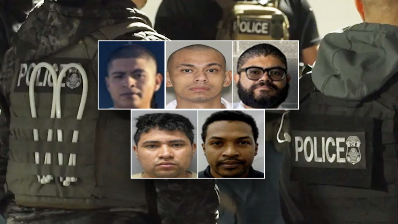 Heinous criminal immigrants arrested by DHS as agency faces criticism