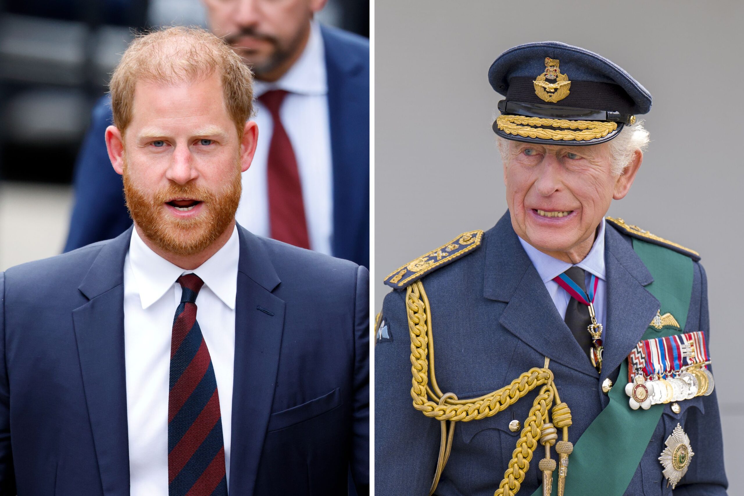 Prince Harry and King Charles