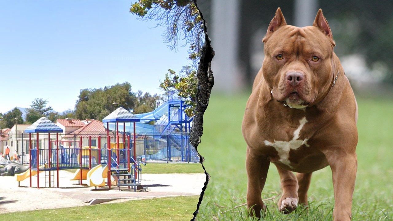Woman killed in dog attack at San Bernardino park, 14 dogs removed